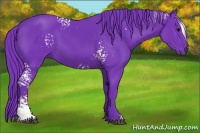 Horse Color:Watercolor White Spotted Black