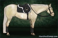 Horse Color:White Spotted Silver Grullo Pearl 