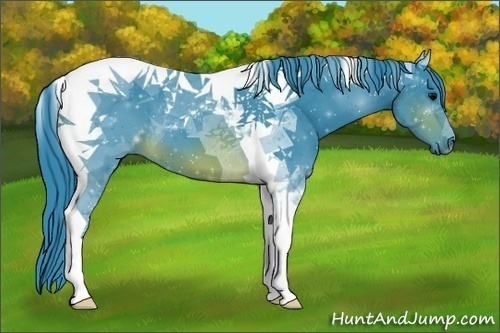 Horse Color:Watercolor Brown Tobiano 
