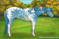 Horse Color:Watercolor Brown Tobiano 