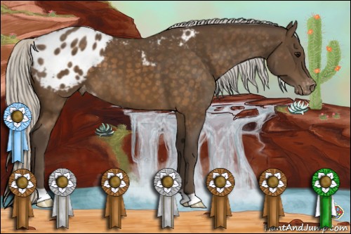 Horse Color:Silver Buckskin Blanket 