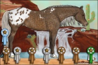 Horse Color:Silver Buckskin Blanket 