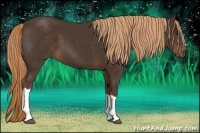 Horse Color:Liver Chestnut 