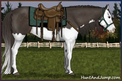 Horse Color:Liver Chestnut Splash 