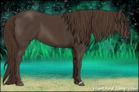 Horse Color:Liver Chestnut 