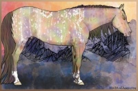 Horse Color:Nacre Amber Champagne Appaloosa and Nacre Amber Champagne Dun