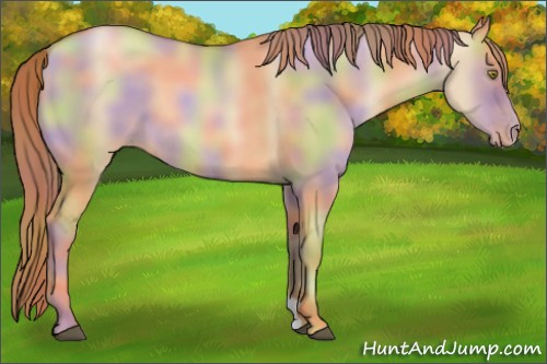 Horse Color:Nacre Red Dun Pearl 
