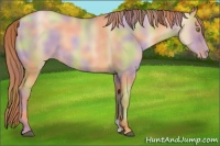 Horse Color:Nacre Red Dun Pearl