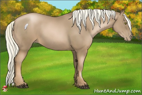 Horse Color:Liver Chestnut Pearl 