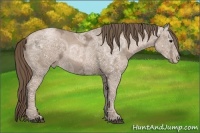 Horse Color:Black Ice Pearl 