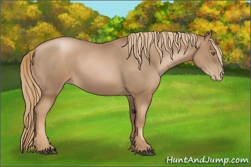 Horse Color:Liver Chestnut Pearl 