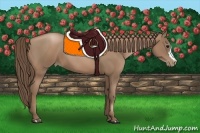 Horse Color:Black Pearl