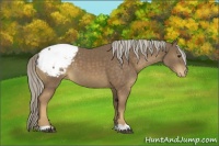 Horse Color:Chocolate Palomino Varnish 
