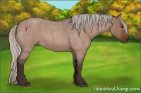 Horse Color:Silver Brown Roan Dun Rabicano 