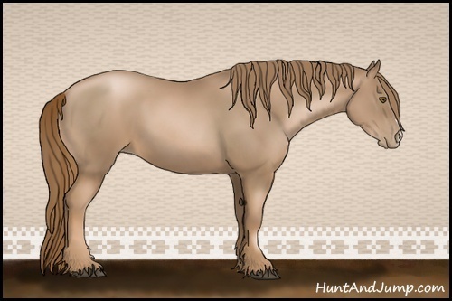 Horse Color:Liver Chestnut Pearl 