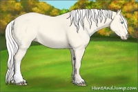 Horse Color:White Spotted Silver Perlino Dun 