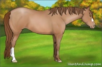 Horse Color:Brown Pearl