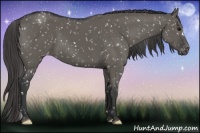 Horse Color:Grullo Snowflake Varnish