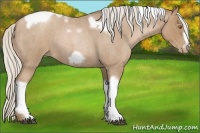 Horse Color:Silver Blue Roan Pearl Tobiano Frame 