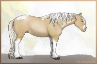 Horse Color:Silver Blue Roan Pearl Tobiano Frame 