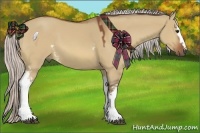 Horse Color:White Spotted Silver Bay Dun