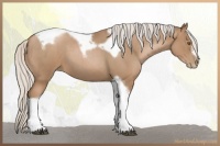 Horse Color:Silver Blue Roan Pearl Tobiano Frame 