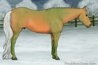 Horse Color:Watercolor Silver Bay