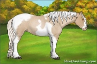 Horse Color:Silver Blue Roan Pearl Tobiano Frame 