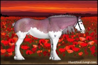 Horse Color:Silver Grullo Chinchilla Sabino Splash