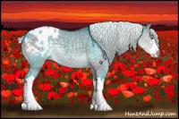 Horse Color:Silver Grullo Chinchilla Sabino Splash Varnish 