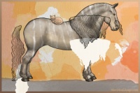 Horse Color:Liver Red Dun Ice Rabicano