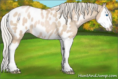 Horse Color:Palomino Pearl Splash Appaloosa 