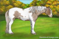 Horse Color:Gray Silver Blue Roan Pearl Tobiano Frame 