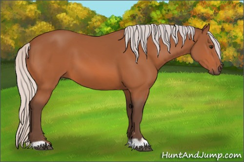 Horse Color:Silver Bay