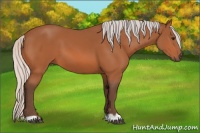 Horse Color:Silver Bay 