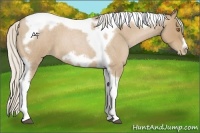 Horse Color:Silver Blue Roan Pearl Tobiano Frame 