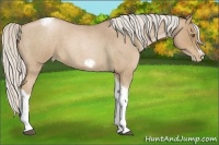 Horse Color:Silver Blue Roan Pearl Tobiano Frame 