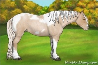 Horse Color:Silver Blue Roan Pearl Tobiano Frame