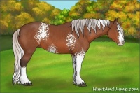 Horse Color:White Spotted Silver Bay Splash 