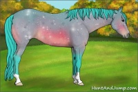Horse Color:Watercolor Bay 