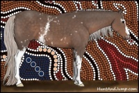 Horse Color:White Spotted Silver Black 