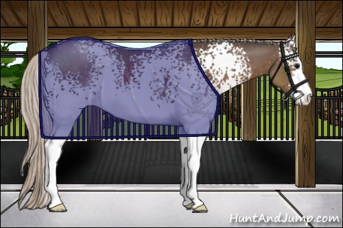 Horse Color:White Spotted Silver Black Sabino