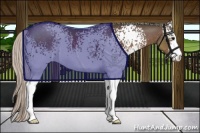 Horse Color:White Spotted Silver Black Sabino