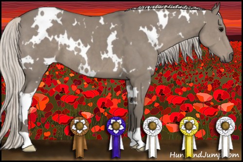 Horse Color:White Spotted Silver Smoky Grullo 