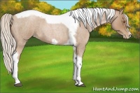Horse Color:Silver Blue Roan Pearl Tobiano Frame