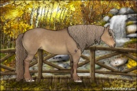 Horse Color:Liver Red Dun 