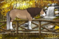 Horse Color:Liver Red Dun Splash
