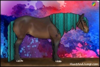 Horse Color:Painted Brown