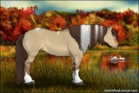 Horse Color:Liver Red Dun Tobiano Rabicano 