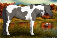 Horse Color:Grullo Tobiano 